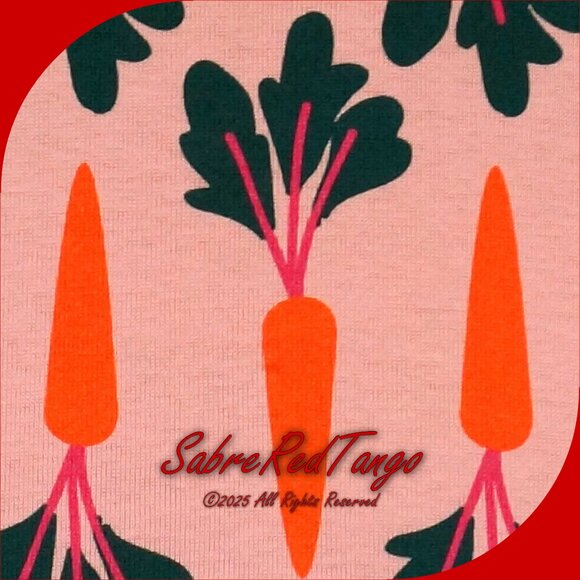 NWT Hanna Andersson Organic Long Johns Pajamas Clover's Carrots Print 120 6 7 - Picture 3 of 6